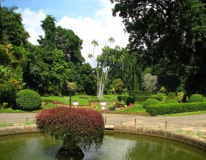 Sri Lanka - 030 - Kandy Botanical Garden