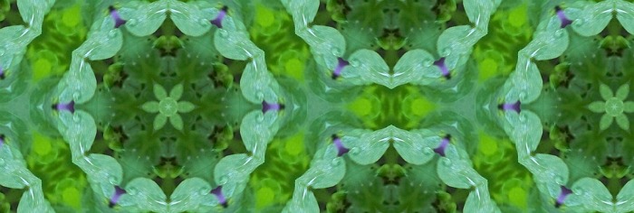 Arepper7