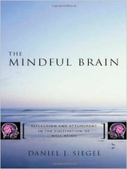 mindful brain