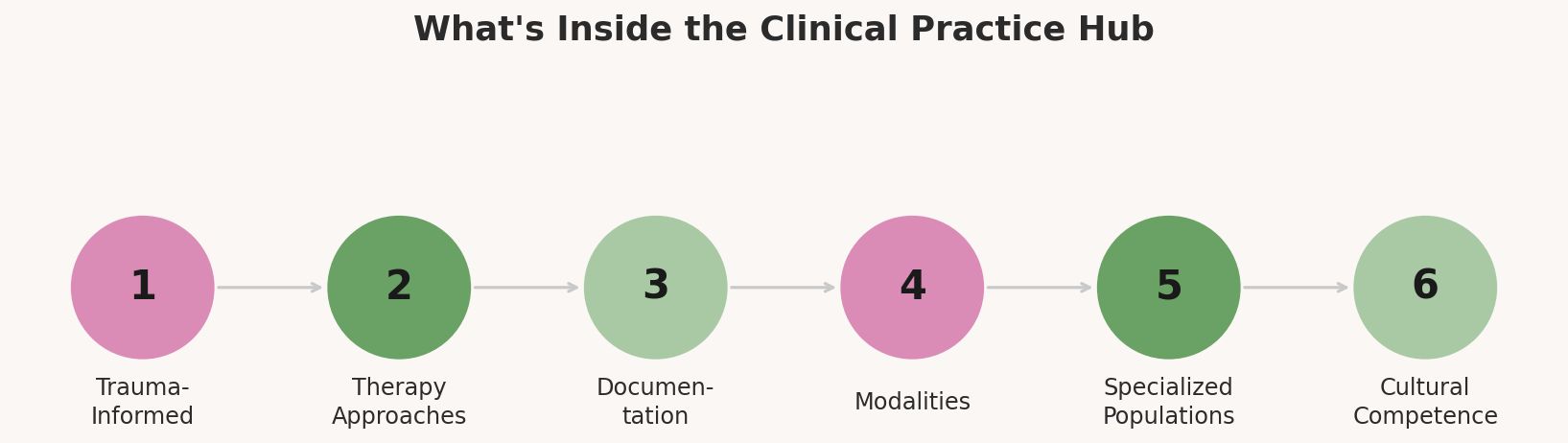 Clinical Practice Hub: six-section guide covering trauma-informed care, therapy approaches, documentation, modalities, specialized populations, and cultural competence